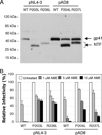 FIG. 5.