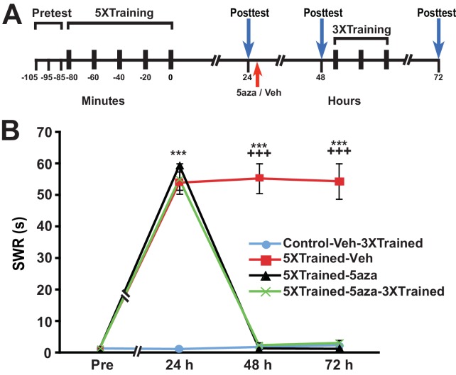 Figure 6—figure supplement 1.