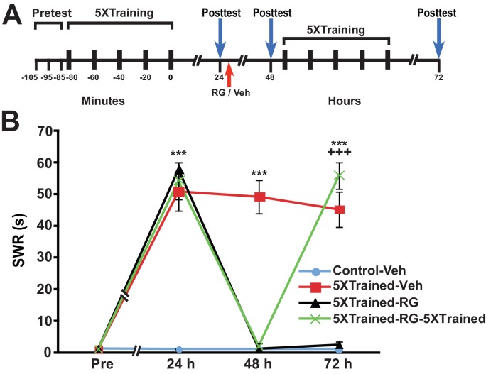 Figure 9.