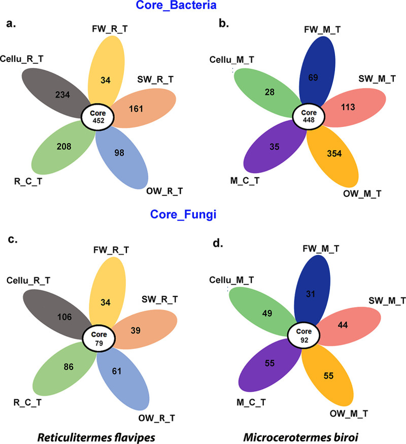 FIG 6