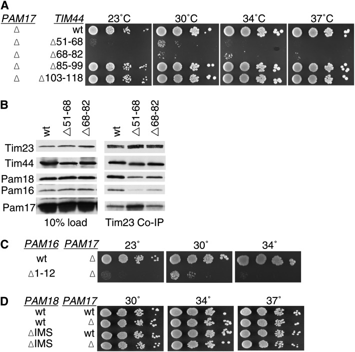 Figure 4 