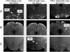 FIG. 7.