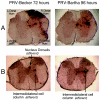 FIG. 8.