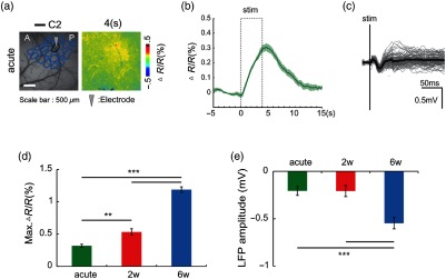 Fig. 12