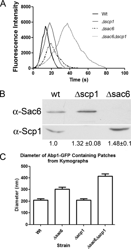 FIG. 7.