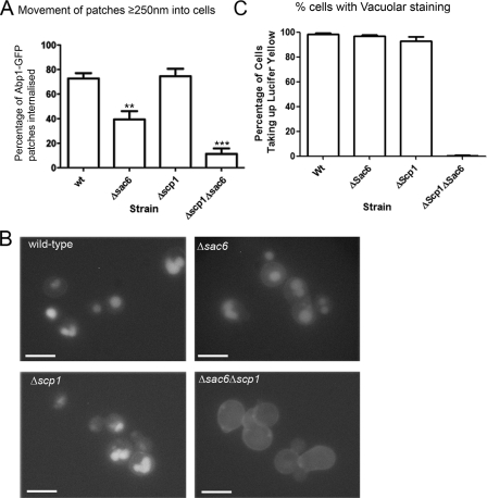 FIG. 6.