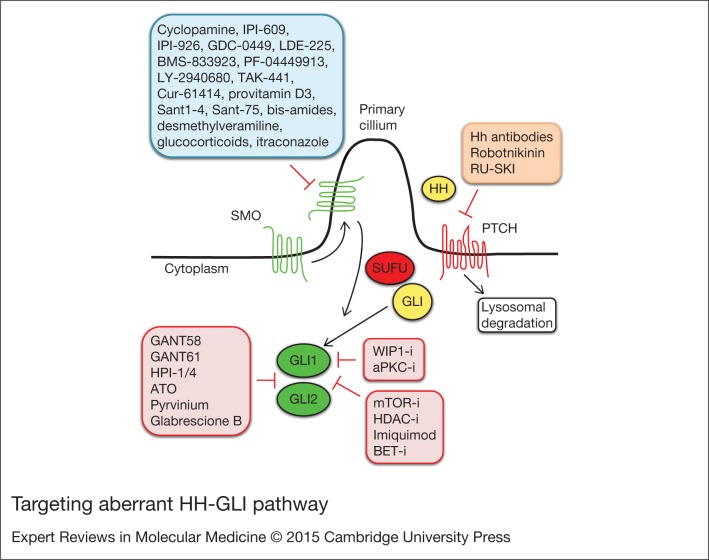 Figure 3.