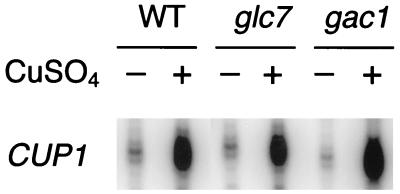 FIG. 6