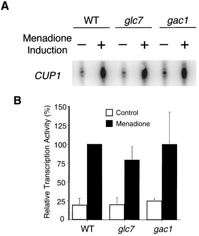 FIG. 8