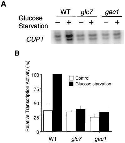 FIG. 7