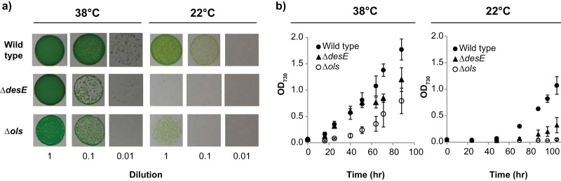 FIG 5