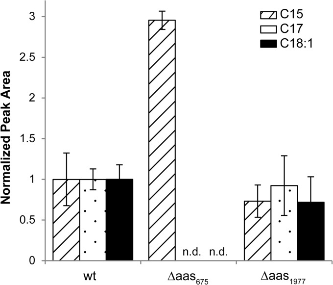 FIG 3