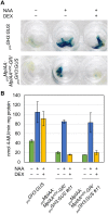 Fig 3