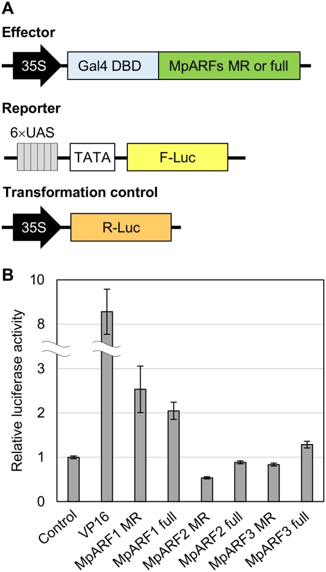 Fig 9