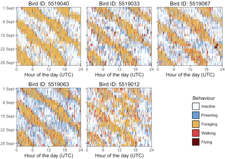 Figure 4.