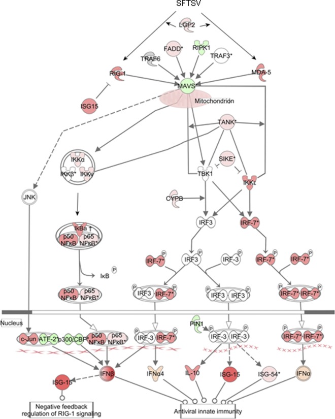 Fig 6