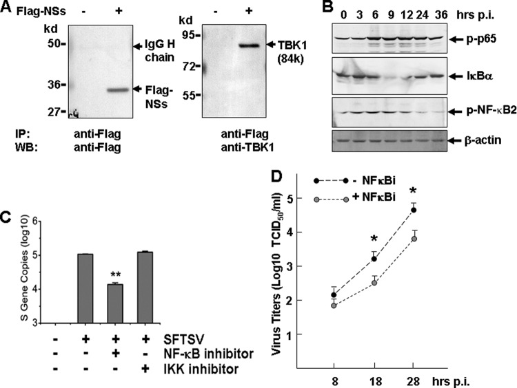 Fig 9