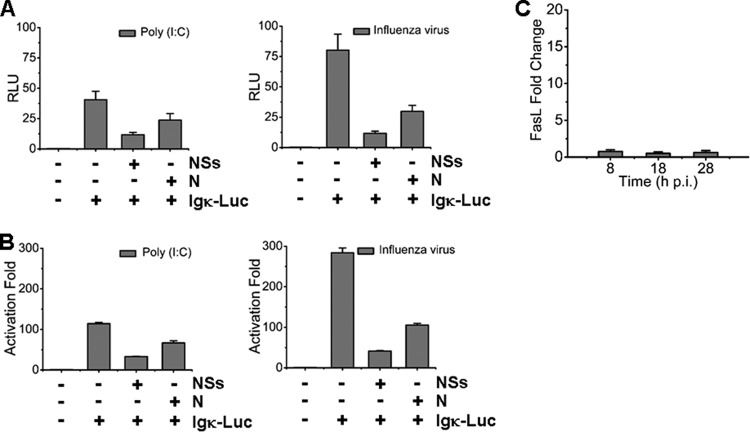 Fig 8