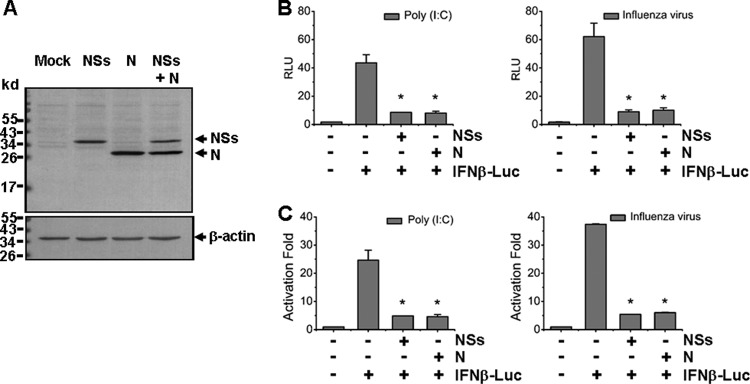 Fig 7