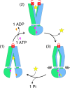 Fig. 6