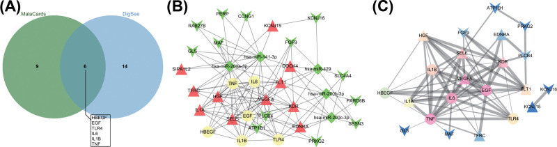 Figure 6