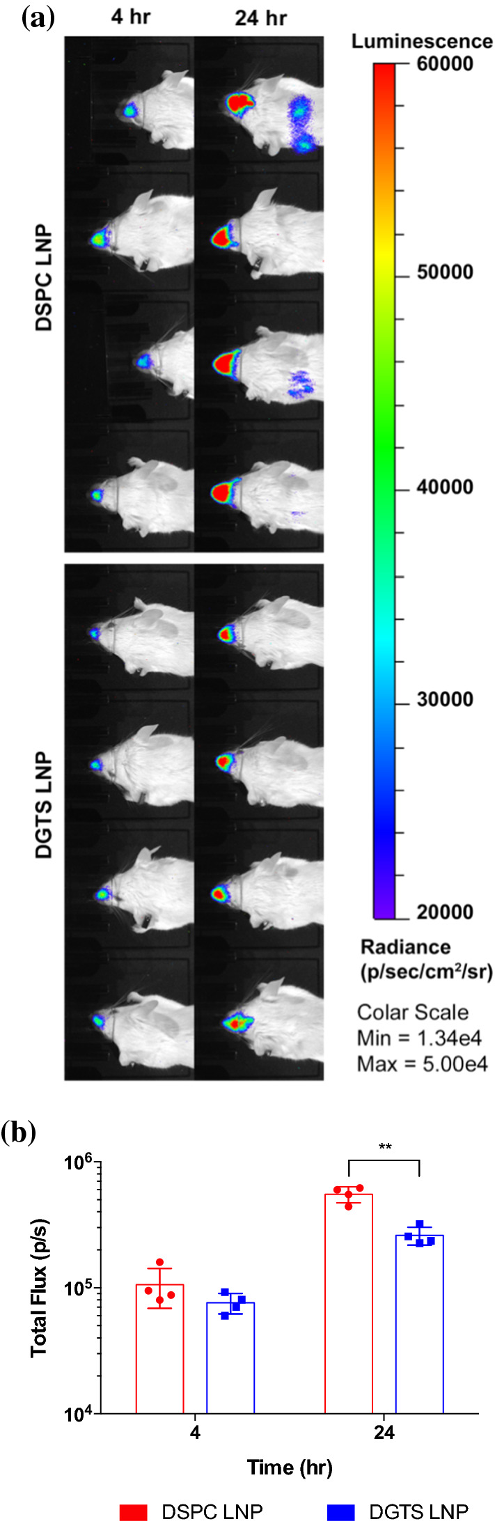 Figure 5