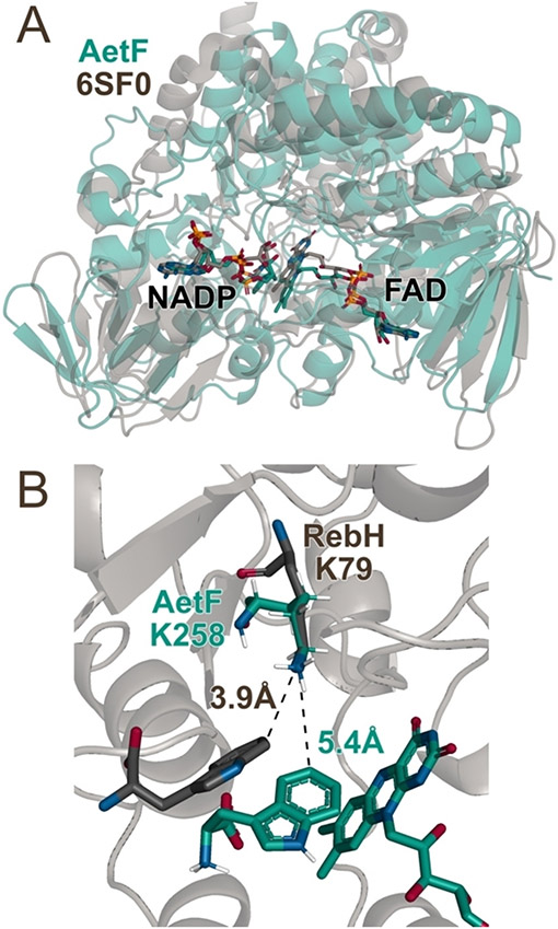 Figure 4.