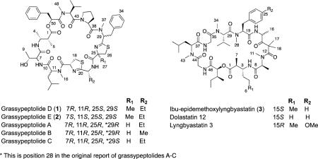graphic file with name nihms-315663-f0002.jpg