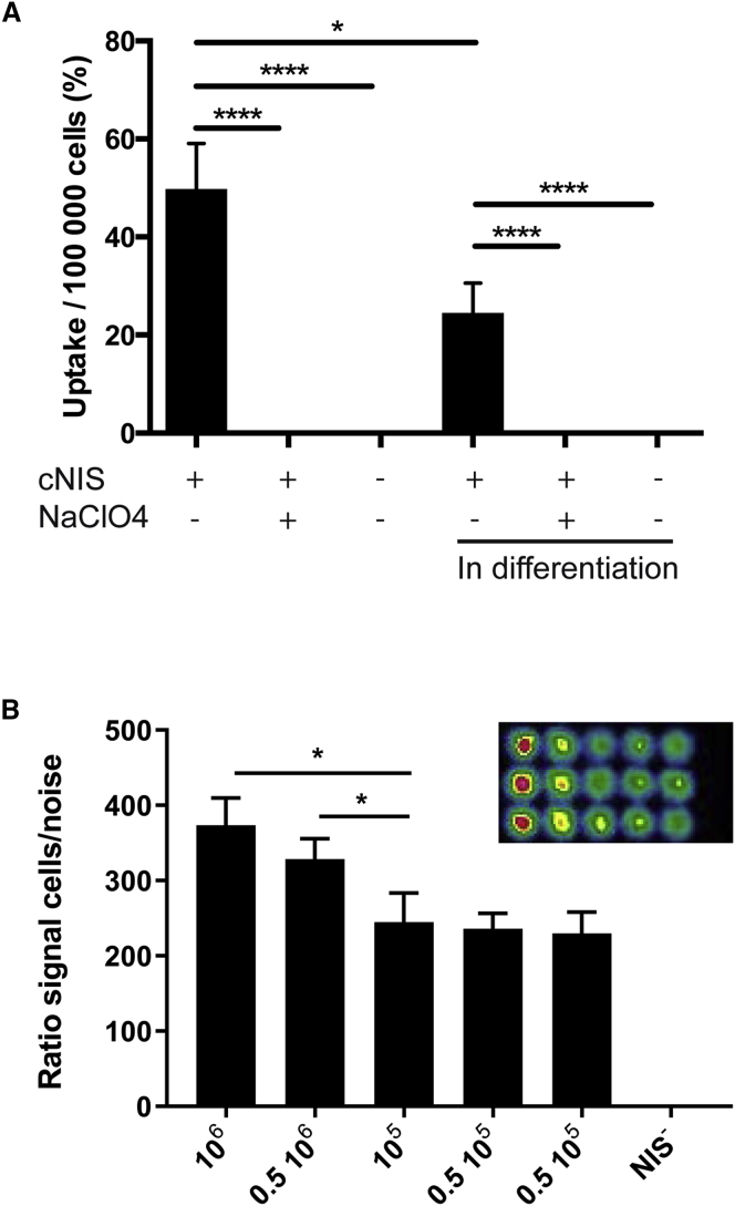 Figure 2