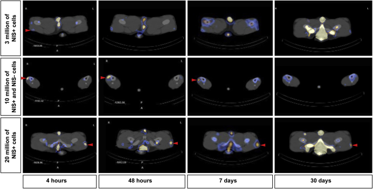 Figure 4