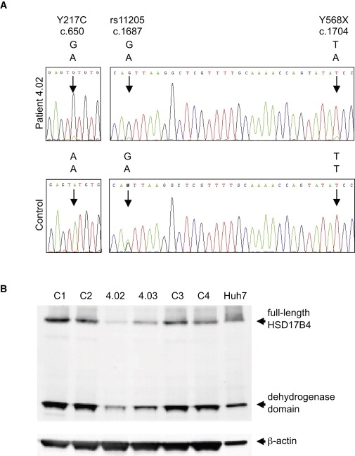 Figure 2