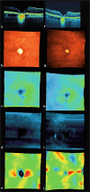 Fig. 2