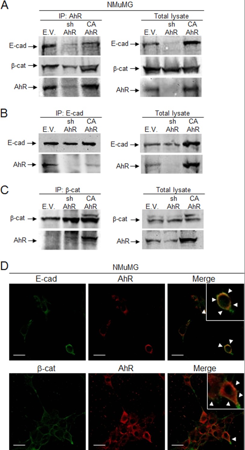 FIGURE 13.