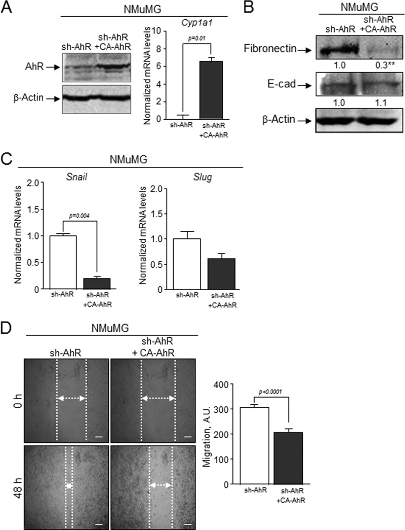 FIGURE 12.