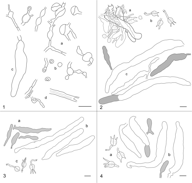 Fig. 2