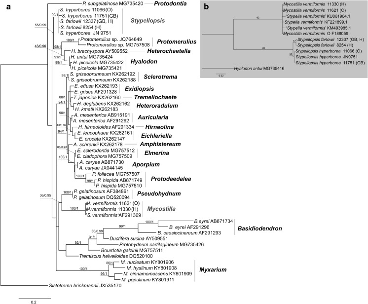 Fig. 3