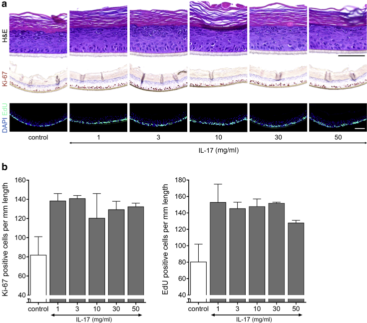 Figure 5