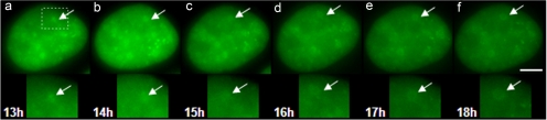 Figure 9.