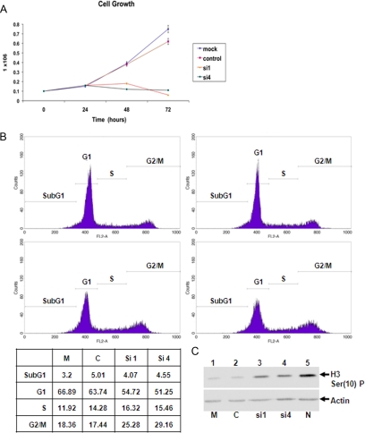 Figure 11.