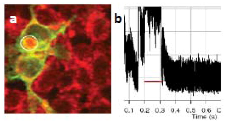 Figure 15