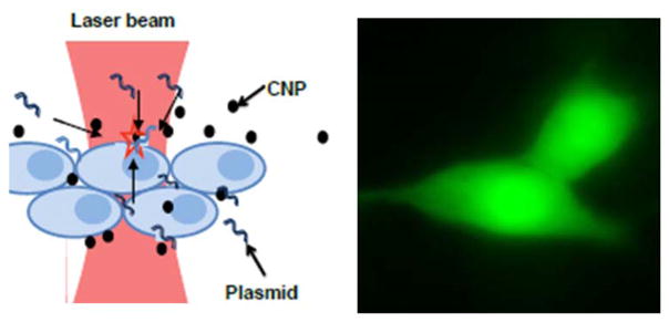 Figure 11