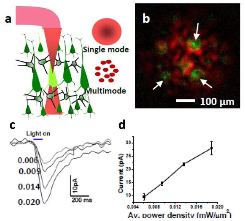 Figure 13