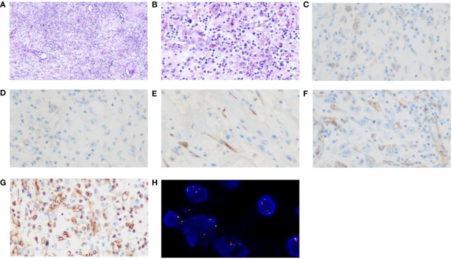 Figure 2