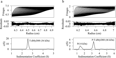 FIGURE 1.