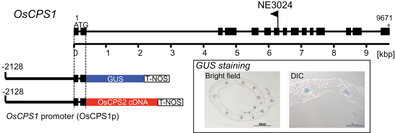 Fig. 5.