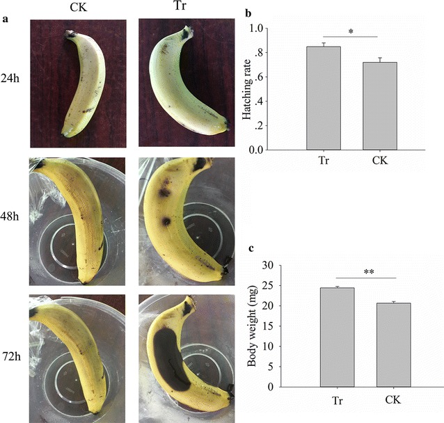 Fig. 6