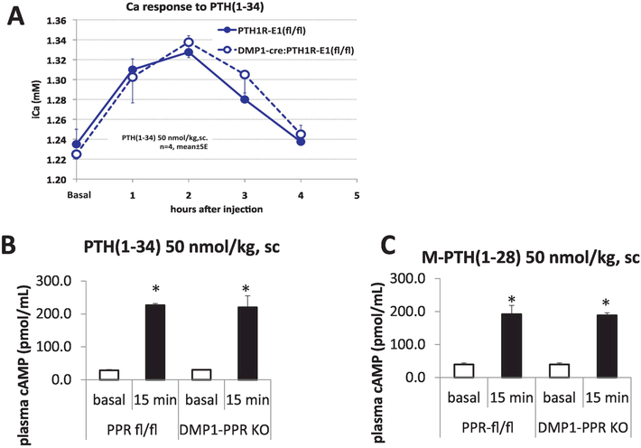 Figure 4: