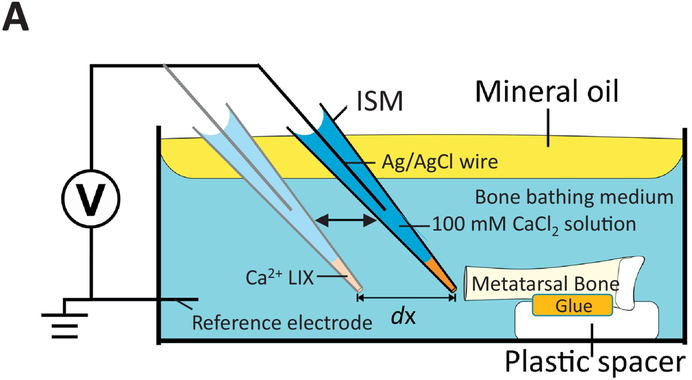 Figure 1: