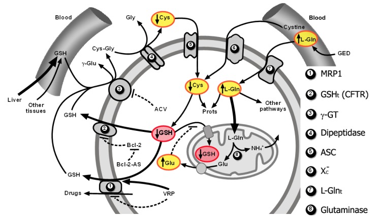 Figure 2.