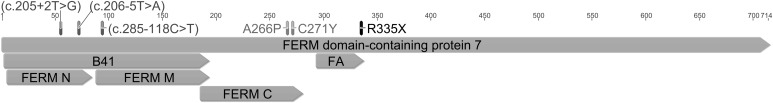 Figure 2.